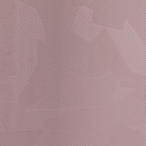 DSC00146- Zebra Pink